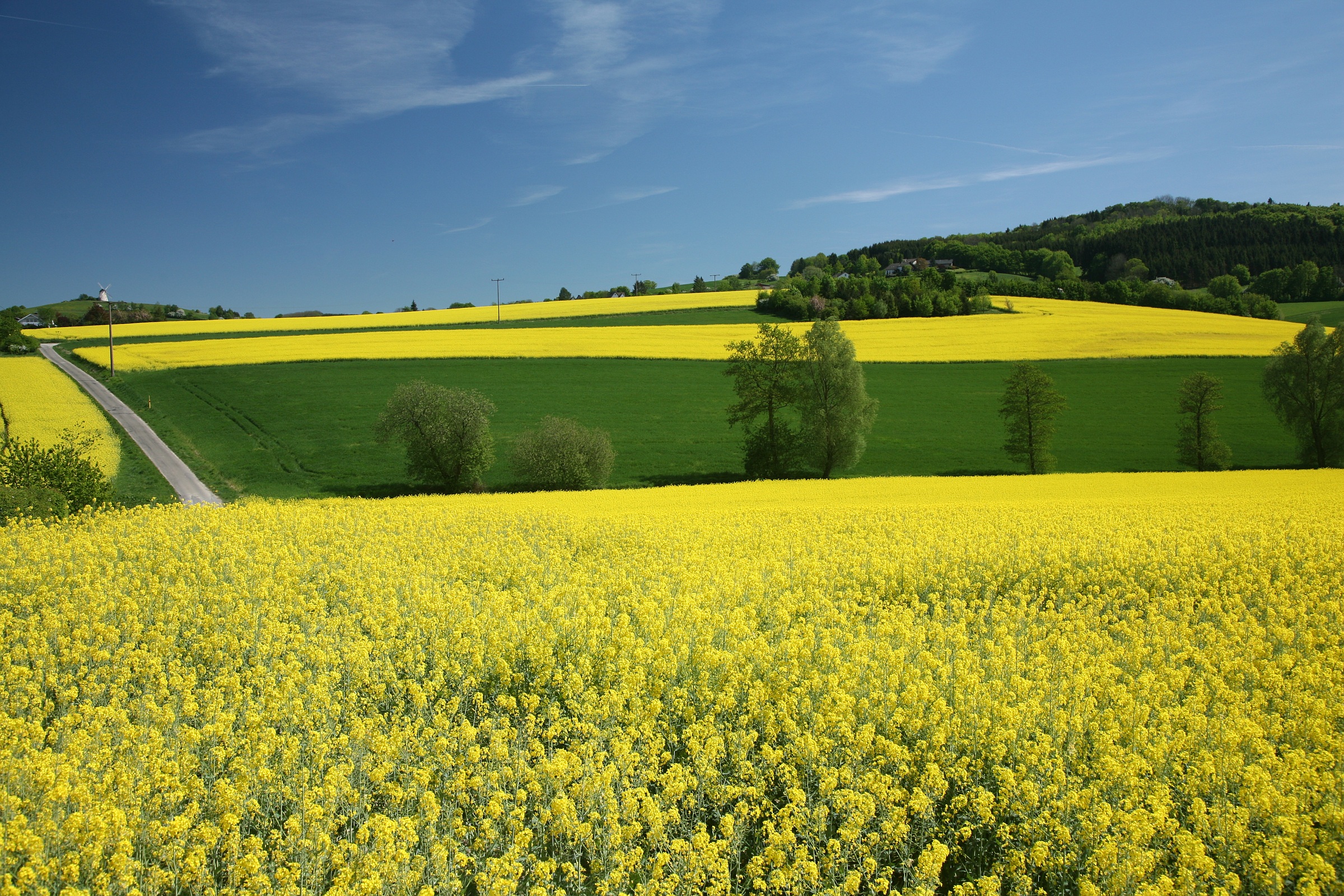 imagem do campo